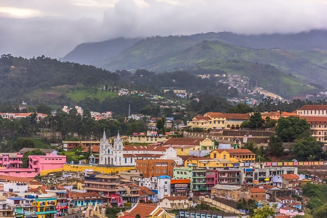 nilgiri landscape